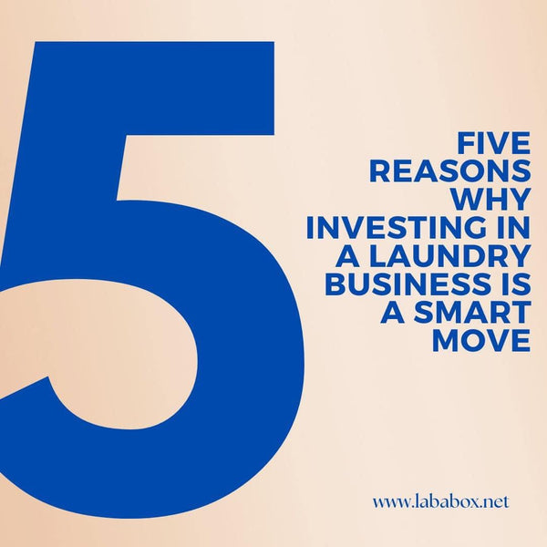 5 REASONS WHY Investing in a LAUNDRY BUSINESS is a SMART MOVE